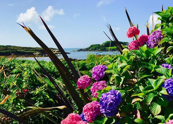 Carraig-mor House Bed & Breakfast 3*