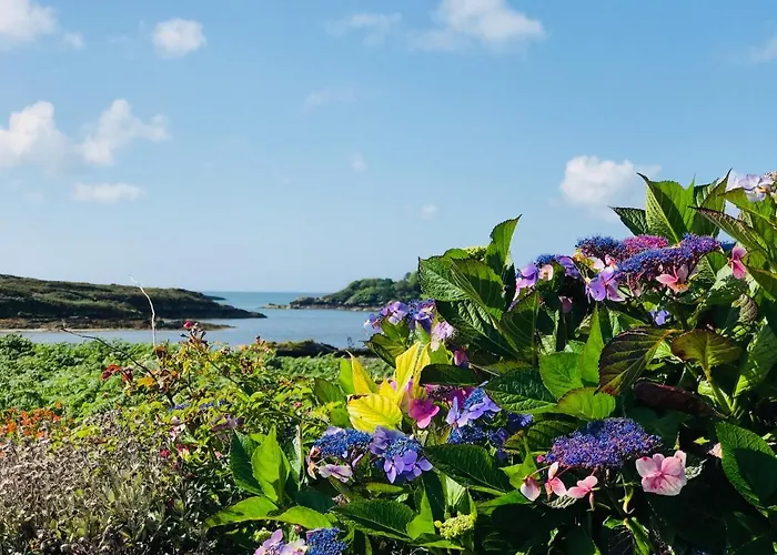 Carraig-mor House Bed & Breakfast 3*